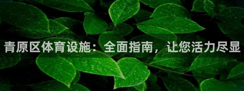 意昂3新能源